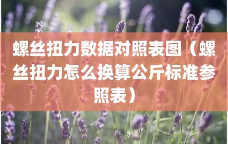 螺丝扭力数据对照表图（螺丝扭力怎么换算公斤标准参照表）