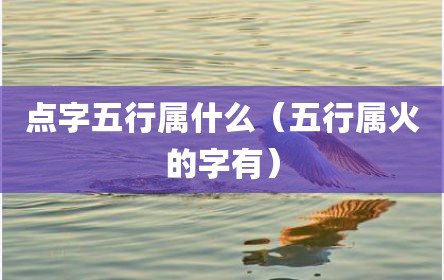 点字五行属什么（五行属火的字有）