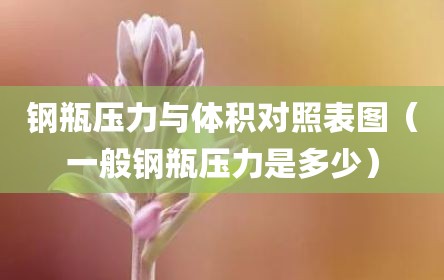 钢瓶压力与体积对照表图（一般钢瓶压力是多少）