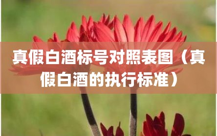 真假白酒标号对照表图（真假白酒的执行标准）