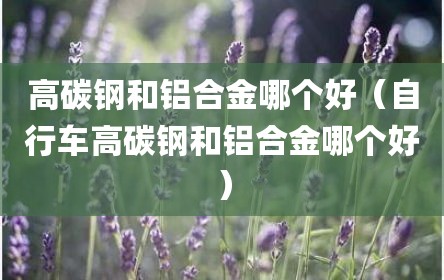 高碳钢和铝合金哪个好（自行车高碳钢和铝合金哪个好）