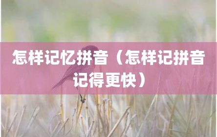 怎样记忆拼音（怎样记拼音记得更快）