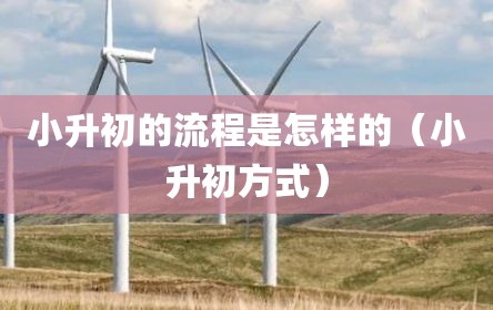 小升初的流程是怎样的（小升初方式）