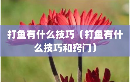 打鱼有什么技巧（打鱼有什么技巧和窍门）