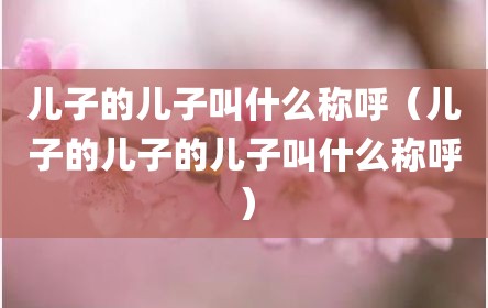 儿子的儿子叫什么称呼（儿子的儿子的儿子叫什么称呼）