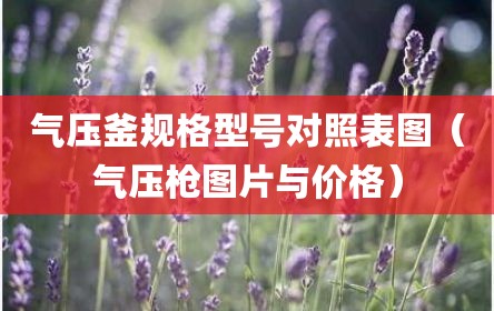 气压釜规格型号对照表图（气压枪图片与价格）