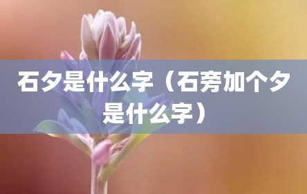 石夕是什么字（石旁加个夕是什么字）