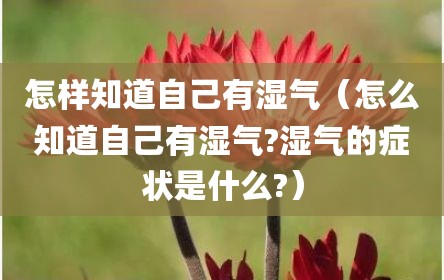 怎样知道自己有湿气（怎么知道自己有湿气?湿气的症状是什么?）