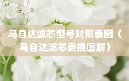 马自达滤芯型号对照表图（马自达滤芯更换图解）