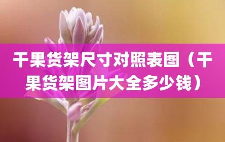 干果货架尺寸对照表图（干果货架图片大全多少钱）