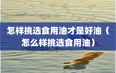 怎样挑选食用油才是好油（怎么样挑选食用油）