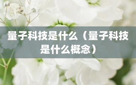 量子科技是什么（量子科技是什么概念）