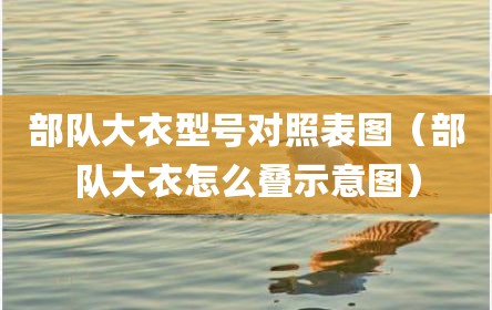 部队大衣型号对照表图（部队大衣怎么叠示意图）