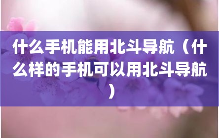 什么手机能用北斗导航（什么样的手机可以用北斗导航）