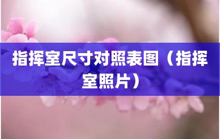 指挥室尺寸对照表图（指挥室照片）