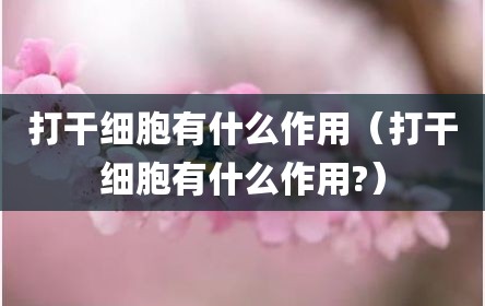 打干细胞有什么作用（打干细胞有什么作用?）
