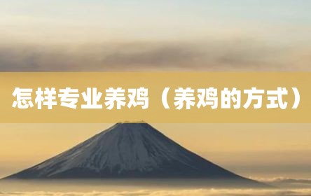 怎样专业养鸡（养鸡的方式）