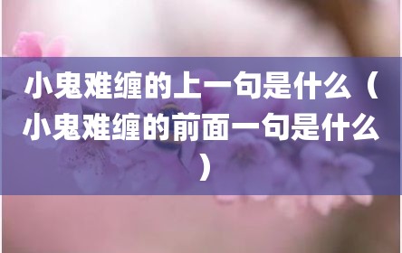 小鬼难缠的上一句是什么（小鬼难缠的前面一句是什么）