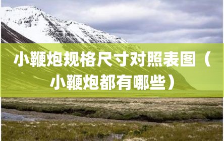 小鞭炮规格尺寸对照表图（小鞭炮都有哪些）