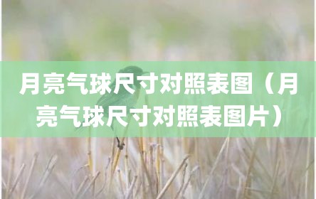 月亮气球尺寸对照表图（月亮气球尺寸对照表图片）