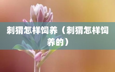 刺猬怎样饲养（刺猬怎样饲养的）