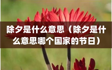 除夕是什么意思（除夕是什么意思哪个国家的节日）