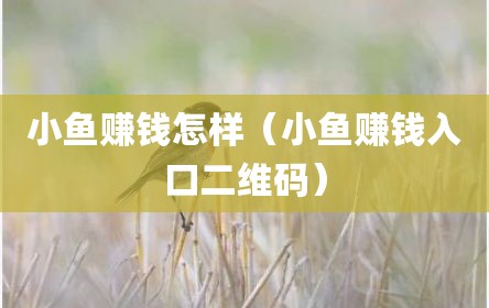 小鱼赚钱怎样（小鱼赚钱入口二维码）
