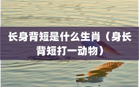 长身背短是什么生肖（身长背短打一动物）