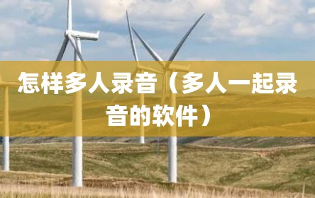 怎样多人录音（多人一起录音的软件）