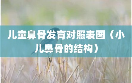 儿童鼻骨发育对照表图（小儿鼻骨的结构）