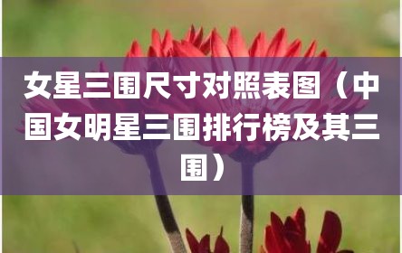 女星三围尺寸对照表图（中国女明星三围排行榜及其三围）