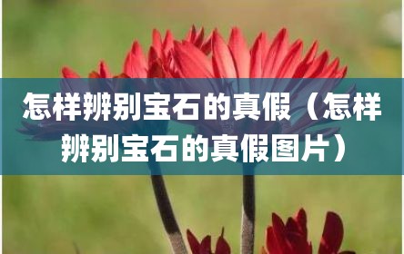 怎样辨别宝石的真假（怎样辨别宝石的真假图片）