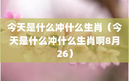 今天是什么冲什么生肖（今天是什么冲什么生肖啊8月26）