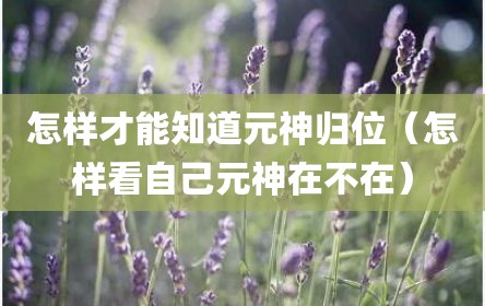 怎样才能知道元神归位（怎样看自己元神在不在）