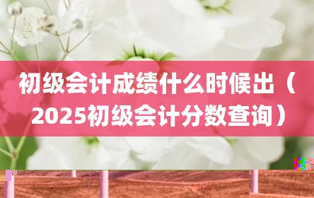 初级会计成绩什么时候出（2025初级会计分数查询）