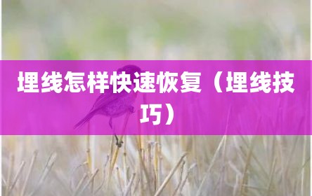 埋线怎样快速恢复（埋线技巧）