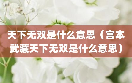天下无双是什么意思（宫本武藏天下无双是什么意思）