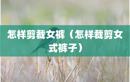 怎样剪裁女裤（怎样裁剪女式裤子）
