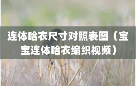 连体哈衣尺寸对照表图（宝宝连体哈衣编织视频）
