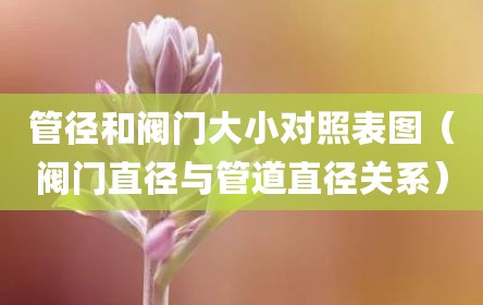 管径和阀门大小对照表图（阀门直径与管道直径关系）