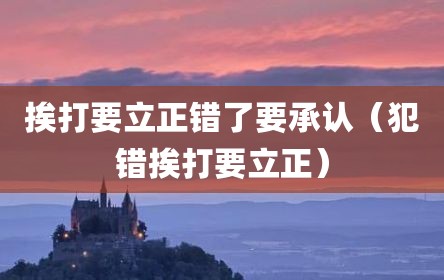 挨打要立正错了要承认（犯错挨打要立正）