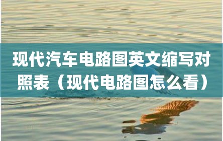 现代汽车电路图英文缩写对照表（现代电路图怎么看）