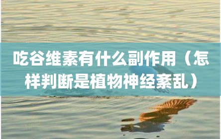 吃谷维素有什么副作用（怎样判断是植物神经紊乱）