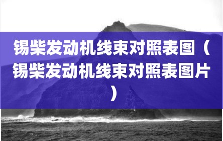 锡柴发动机线束对照表图（锡柴发动机线束对照表图片）