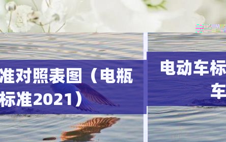 电动车标准对照表图（电瓶车标准2021）