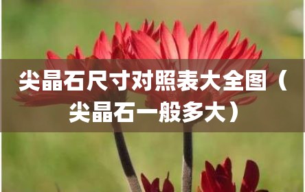 尖晶石尺寸对照表大全图（尖晶石一般多大）
