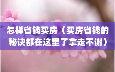 怎样省钱买房（买房省钱的秘诀都在这里了拿走不谢）