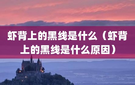 虾背上的黑线是什么（虾背上的黑线是什么原因）