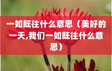一如既往什么意思（美好的一天,我们一如既往什么意思）