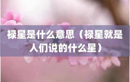 禄星是什么意思（禄星就是人们说的什么星）